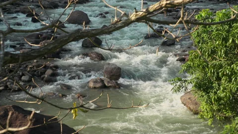 View of flowing stream on rocks, Lamjung, Nepal Video stock 139689642