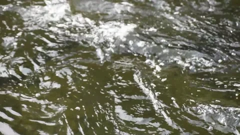 View of Flowing water of a river through rocks and land Stock Footage 291601657