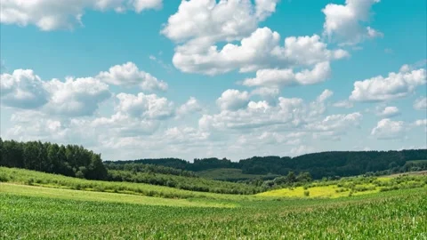 View of flying clouds over the colored mixed grass field. Time-lapse footage. Stock Footage 158182252
