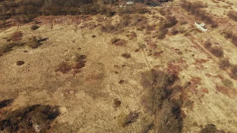 View from a flying drone on a dry field Stock Footage 106855659