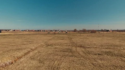 View from a flying drone over a field Stock Footage 106855589