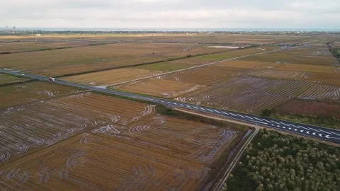 View flying over a rice field during the sowing season near Cullera in Spain Stock Footage 255668744