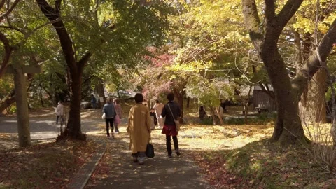 View following many tourists while relaxing in japanese garden with maple t.. Stock Footage 233564808