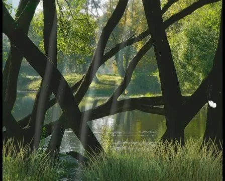 View Stock Footage 6523844