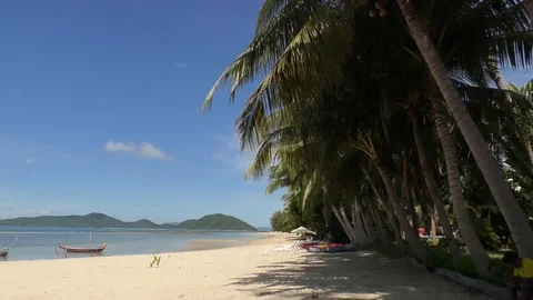 View Stock Footage 112529901