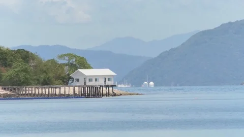 View Stock Footage 112602386