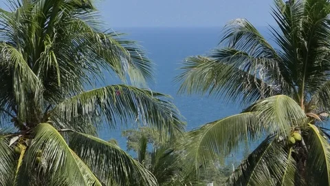 View Stock-Footage 112663881