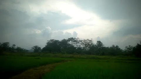 View Stock Footage 169455367