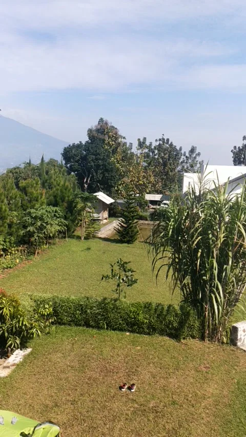 View 動画素材 204974497