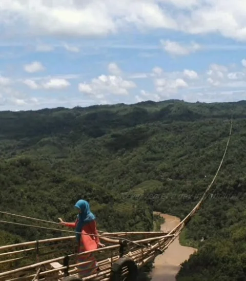 View Video stock 209135775