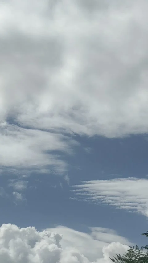 View Stockbeeldmateriaal 229206458