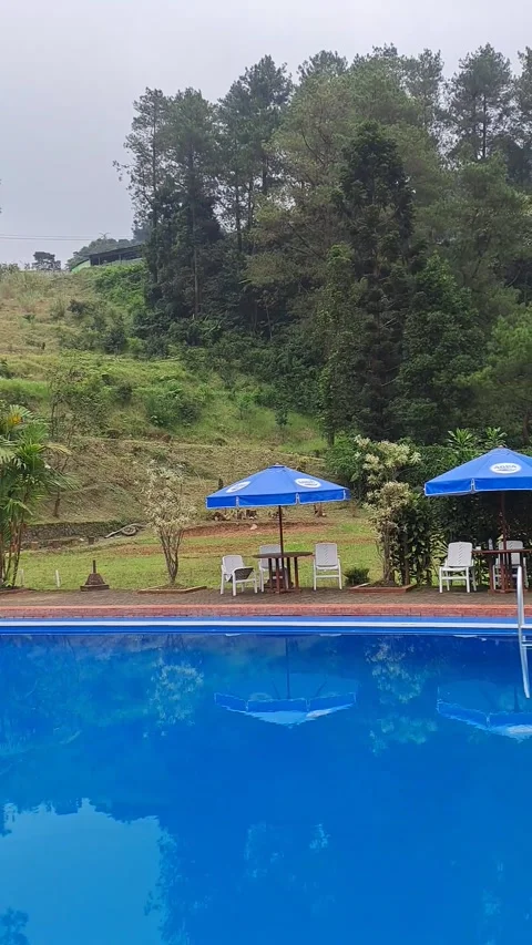 View 库存影片 243691205