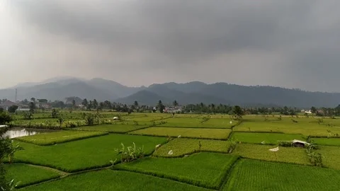 View Stock Footage 261240627