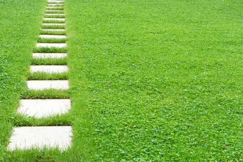 View of a footpath made of concrete square slabs against a green lawn. Concep Stock Photos