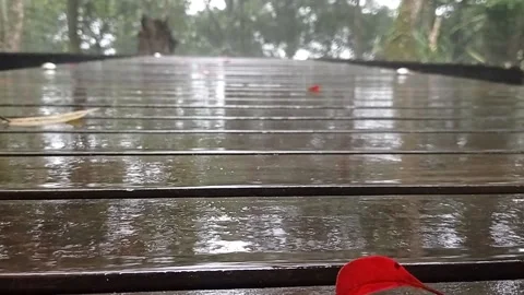 A view of a footpath on a rainy day Stock Footage 150215938