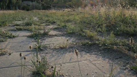 View of footpath, walkway needing repairs. Sunny day Stock Footage 90750097