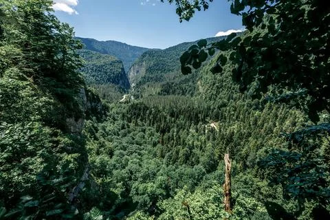 View of the forest in Abkhazia from the observation deck Stock Photos