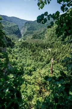 View of the forest in Abkhazia from the observation deck Stock Photos