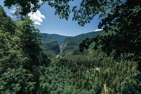 View of the forest in Abkhazia from the observation deck Stock Photos