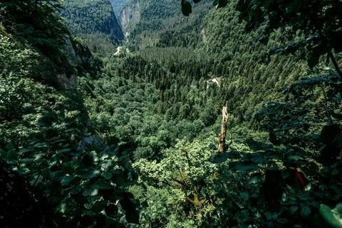 View of the forest in Abkhazia from the observation deck Stock Photos