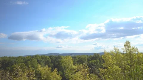 A view of the forest from above Stock Footage 95230049