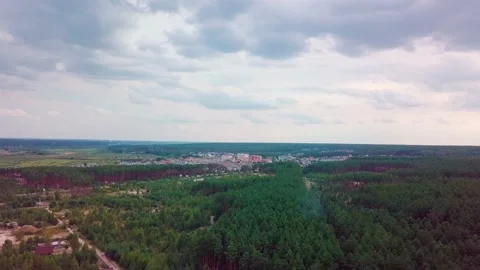 View of the forest from above. Road from a height. Forest and road from above. Stock Footage 159442469