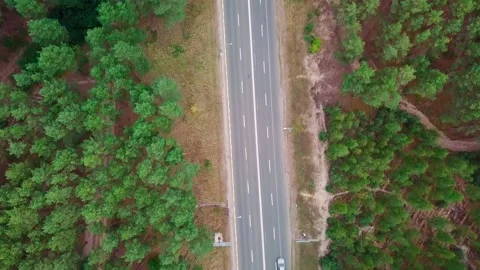 View of the forest from above. Road from a height. Forest and road from above. Stock Footage 159442491