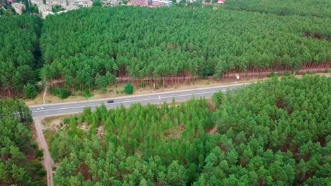 View of the forest from above. Road from a height. Forest and road from above. Stock Footage 159442502