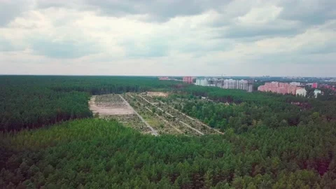 View of the forest from above. Road from a height. Forest and road from above. Stock Footage 159443060