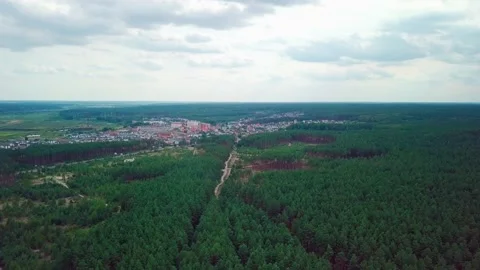 View of the forest from above. Road from a height. Forest and road from above. Stock Footage 159443144