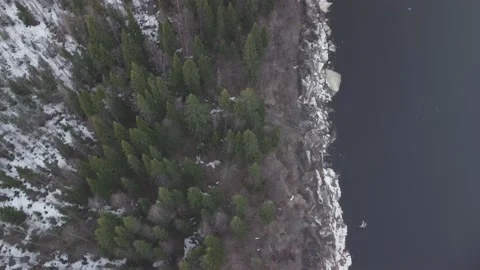 A view of a forest from above with snow on the ground and trees Stock Footage 195552900