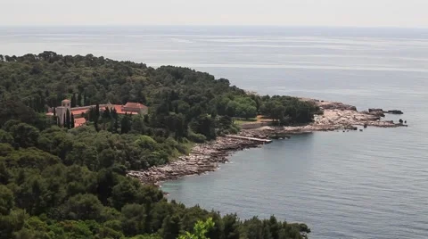 View of forest and coastline Stock Footage 60691036