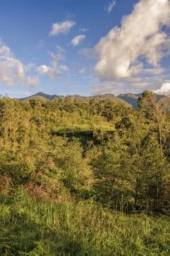 View of the forest and farm fields with the Iguaque natural reserve at the ba Foto stock