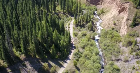 View of the forest and gorge from above. Video stock 139747205