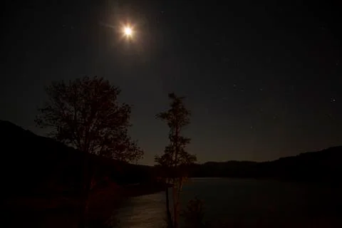 View of a forest and hills under moon light at night. Stock Photos