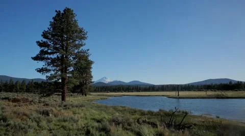 View of forest and lake Stock Footage 49012773
