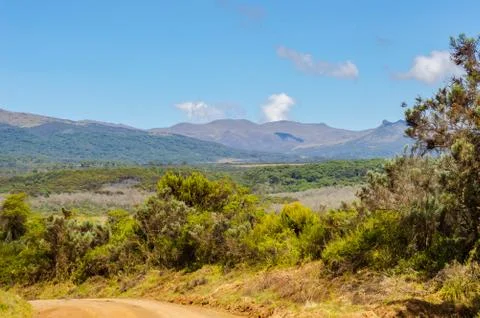 View of the forest and the mountains Stock Photos