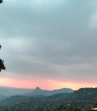 A view of forest in and orange sunset , a view from munnar kerla india Stock Photos