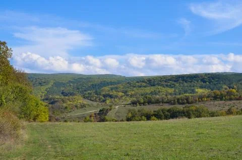 View of forest and sky Foto stock