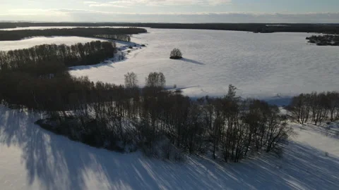 View of the forest and snow field Stock Footage 168825157