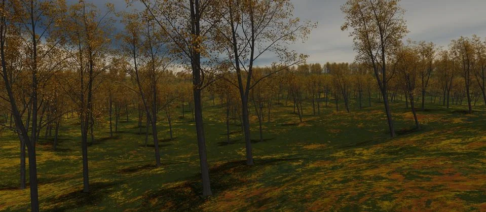 View of forest in autumn with dark clouds Stock-Illustration