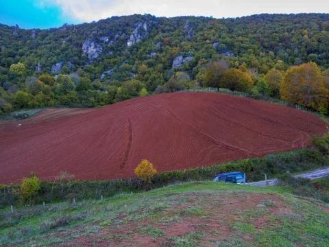 The view of the forest in autumn Stock-Fotos