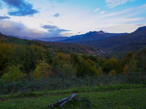 The view of the forest in autumn Stock Photos