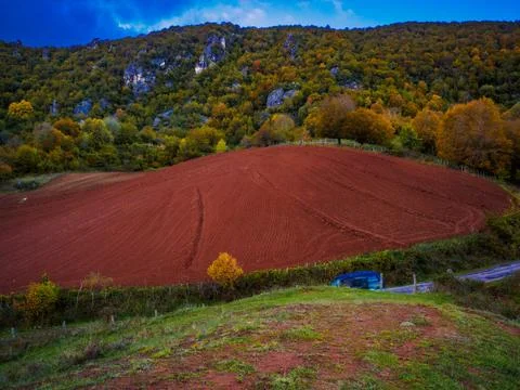 The view of the forest in autumn Stock Photos