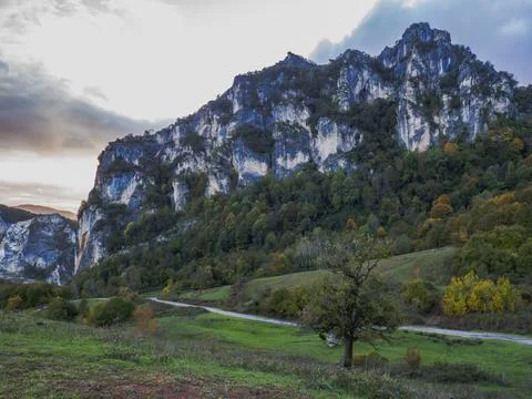 The view of the forest in autumn Fotos de archivo
