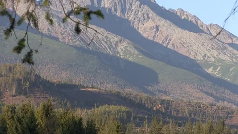 View of the Forest below the Mountains Video stock 104012127