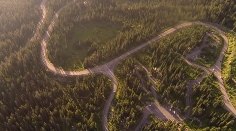 View of the forest from a bird's flight Video stock 42526225