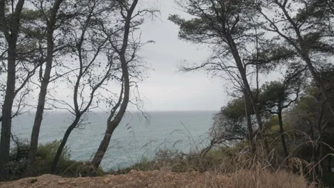 View from the forest of the blue ocean and the Mediterranean sea on a sunny s Stock Footage 137232868