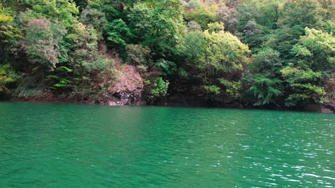 A view of the forest from a boat moving on a river with green waters. 動画素材 336630553
