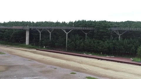 View of a forest with a bridge Video stock 306040495